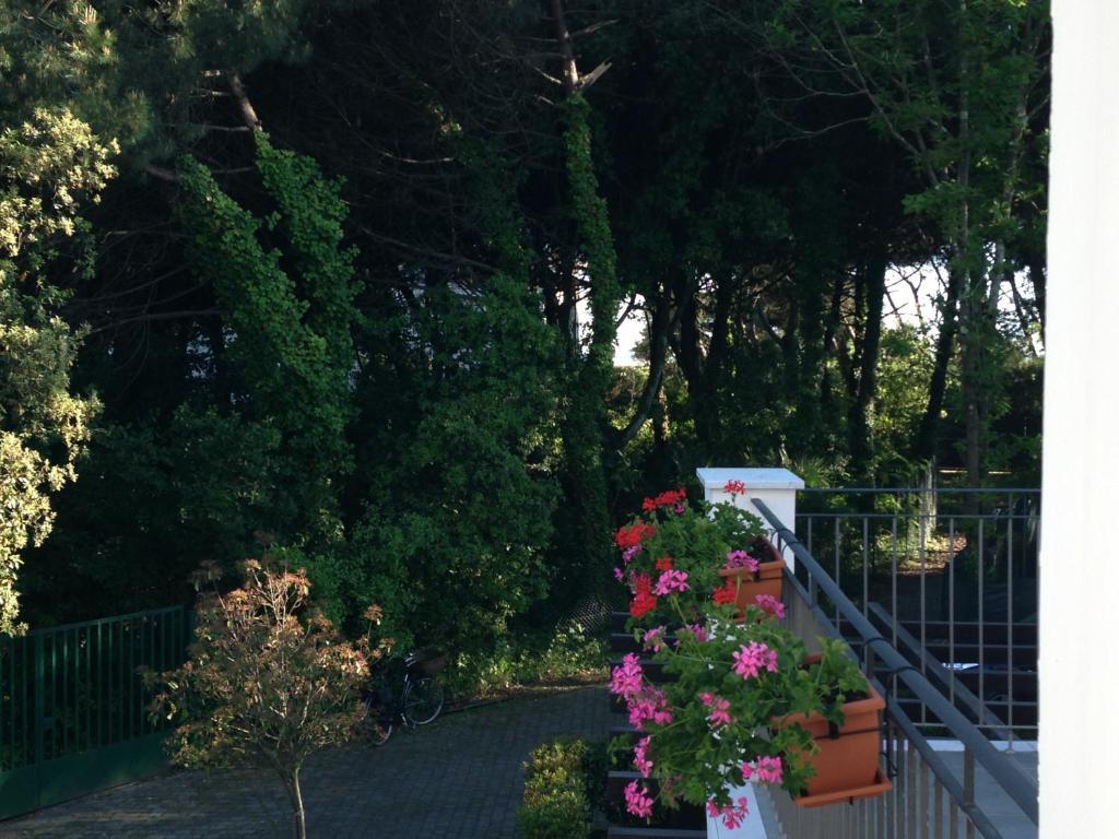 Residence Casa Bianca 마리나디마사 외부 사진